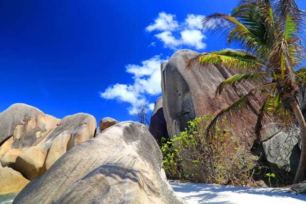 Creative Highlights World Discovering the unique rock formations and palm trees at Anse Source dArgent beach in Seychelles under a bright blue sky Copyright: GeraintxTellem 1365-1623