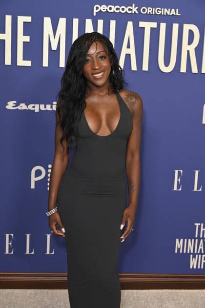The Miniature Wife Premiere Los Angeles California Apr 6: DJ Hunny Bee at Peacock s The Miniature Wife held at DGA Theater on April 06, 2026 Credit: Michael Mattes AdMedia EDITORIAL USE ONLY  Copyright: xx AdMediax admphotostwo980443