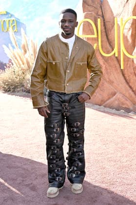 Christopher Ammanuel at the premiere of season 3 of the HBO series Euphoria at the TCL Chinese Theatre Los Angeles, 07 04 2026 Foto:xD.xStarbuckx xFuturexImagex euphoria_6457