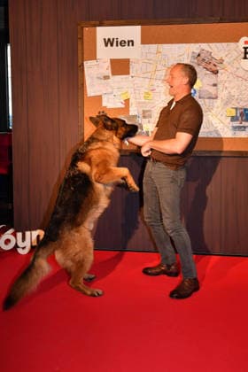 Maximilian Brueckner and sheepdog Rex at the Commissioner Rex SAT1 premiere on 8 04 2026 in the Astor Film Lounge at the ARRI cinema in Munich Premiere in Munich Commissioner Rex barks again on TV on Sat 1