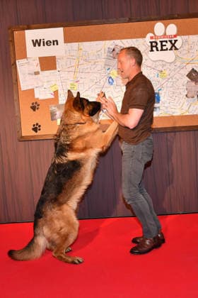 Maximilian Brueckner and sheepdog Rex at the Commissioner Rex SAT1 premiere on 8 04 2026 in the Astor Film Lounge at the ARRI cinema in Munich Premiere in Munich Commissioner Rex barks again on TV on Sat 1