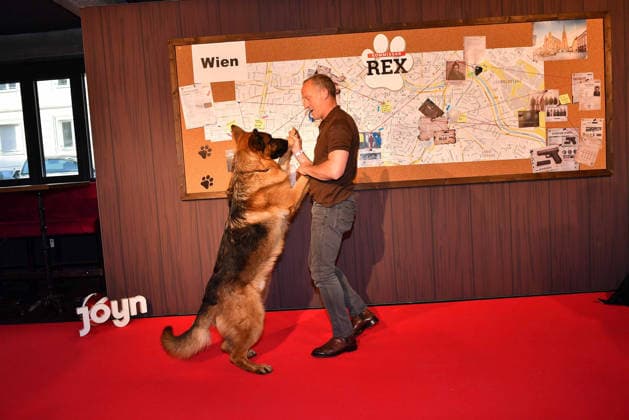 Maximilian Brueckner and sheepdog Rex at the Commissioner Rex SAT1 premiere on 8 04 2026 in the Astor Film Lounge at the ARRI cinema in Munich Premiere in Munich Commissioner Rex barks again on TV on Sat 1