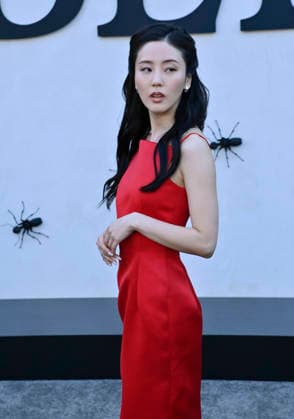 Cast member Seoyeon Jang attends Netflix s dark comedy TV series Beef at the Egyptian Theatre in the Hollywood section of Los Angeles on Wednesday, April 8, 2026. Storyline: Road rage ensues after a parking-lot incident, resulting in a bitter feud between the two antagonists. The vendetta between them and the lengths they ll go to in order to wreak revenge on each other spirals out of control, jeopardizing everything and everyone in their lives.  LAP2026040850 JIMxRUYMEN