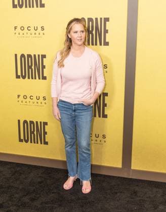 April 9, 2026, Bronx, New York, USA: Amy Schumer attends Focus Features premiere of Lorne at Alice Tully Hall in New York, NY on April 9, 2026. Bronx USA - ZUMAr339 20260409_znp_r339_103 Copyright: xLevxRadinx