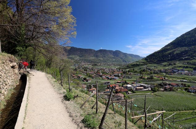 Ein Frühligstag mit sommerlichen Temperaturen am Algunder Waalweg nahe Algund bei Meran, Merano. Hier der Blick auf bei der Apfelblüte, Blüte, Blütenmeer, Naturschauspiel auf den Wanderweg mit den blühenden Apfelbäumen , hier das Meraner Becken mit Algund, Meraner Land, Burggrafenamt, Alto Adige, Südtirol *** An early-morning day with summery temperatures on the Algunder Waalweg near Algund near Merano, Merano Here the view of the apple blossom, blossom, sea of flowers, natural spectacle on the hiking trail with the blossoming apple trees, here the Merano basin with Algund, Meraner Land, Burggrafenamt, Alto Adige, South Tyrol