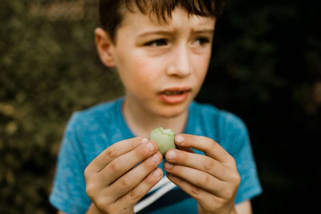 Young boy holding a small green apple with a bite taken out outdoors Calgary, Alberta, Canada CR_AMST26041009-1892978-01 ,model released, Symbolfoto ,property released