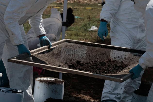 April 14, 2026, Mexico City, Cdmx, Mexico: Between the borders of the Tlahuac region of Mexico City and Chalco, State of Mexico, lie the lagoons that divide these areas. Within a particular zone known as Lagunas de La Habana (Havana Lagoons), more than 500 human skeletal remains (teeth and bones from different parts of the body) have been found to date, buried in the mud at a very shallow depth. This is because it is a chinampa (floating garden) area, making it impossible that this area was used as a cemetery. The remains are found at a very shallow depth; after only 20 centimeters, the water reaches the lagoon. The search continues, carried out by personnel from the Attorney General s Offices, police, the National Guard, and the State - ZUMAp204 20260414_zip_p204_007 Copyright: xJosuexPerezx