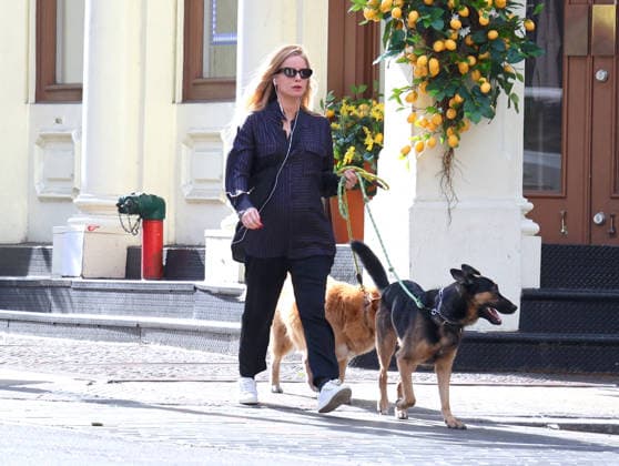 Annabelle Wallis out in New York British actress Sebastian Stan girlfriend Annabelle Wallis pregnant walks her dogs on the street in New York, NY on April 15, 2026. Photo by Dylan Travis ABACAPRESS.COM New York NY  Copyright: xDylanxTravis ABACAx
