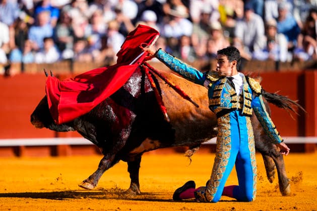 Fifth bullfight of subscription in the Maestranza of Seville Bullfighter Miguel Angel Perera in the fifth of the bullfighting season April 15, 2026 in Seville Andalusia, Spain In the third bullfight of subscription in the Plaza de la Real Maestranza, the bullfighters Miguel Angel Perera, David Galvan and Aaron Palacios are the protagonists with bulls from the livestock of Santiago Domecq 15 APRIL 2026 Joaquí Sevilla Andalucia Sevilla Andalucia Espana  Copyright: xJoaquinxCorcherox 7444475
