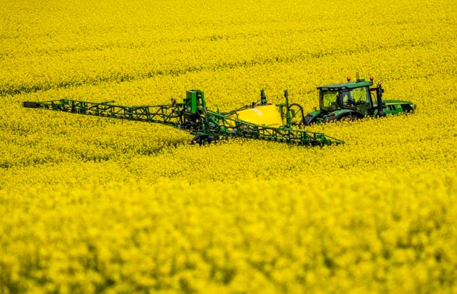 Landwirtschaft, Rapsfeld in voller Blüte, Landwirt spritzt das Feld mit einer John Deere M952 Anhängefeldspritze, während der Rapsblüte werden u. a. Pflanzenschutzmittel gegen Schädlinge gespritzt, der Raps ist in der Blüte besonders anfällig für Schädlinge, oder es wird gegen Pilzkrankheiten gespritzt, Fungizide, alle Mittel müssen Bienen verträglich sein, NRW, Deutschland Rapsfeld Feldspritze *** Agriculture, rapeseed field in full bloom, farmer spraying the field with a John Deere M952 trailed field sprayer, during rapeseed flowering, pesticides are sprayed against pests, the rapeseed is particularly susceptible to pests during flowering, or it is sprayed against fungal diseases, fungicides, all agents must be compatible with