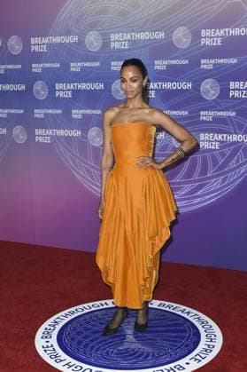 Zoe Saldana at arrivals for 12th Breakthrough Prize Ceremony, Barker Hangar, Santa Monica, CA, April 18, 2026. Photo By: Elizabeth Goodenough Everett Collection 12th Breakthrough Prize Ceremony PUBLICATIONXNOTxINxCANxCHNxFRAxITAxJPNxNORxPOLxRUSxESPxUKxUSA