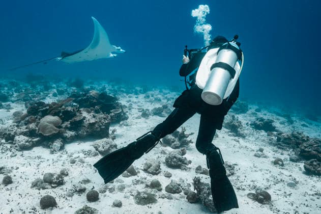 scuba diver and Manta ray in the southern Maldives Addu City, Addu City, Maldives CR_THHE260417B-1979380-01 ,model released, Symbolfoto