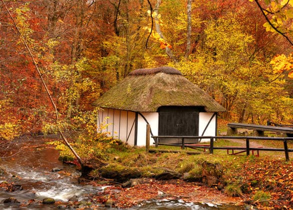 A cottage in the countryside in autumn landscape beside a river in Europe. Peaceful and quiet nature scene of rustic barn or boathouse near calm water and changing season of red and yellow leaves. (License=RF) ,model released, Symbolfoto  Copyright: xZoonar.com KasperxRavlox 18830464 ,model released, Symbolfoto ,property released