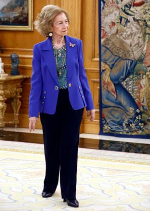 Queen Sofia receives in audience a representation of the Asociación Visión y Vida Queen Sofia during the audience with a representation of the Asociación Visión y Vida on the occasion of its 70th anniversary, at the Zarzuela Palace, on April 20, 2026, in Madrid Spain Visión y Vida was created in 1955 with the objective of procuring the best for the vision of the citizens in an altruistic way by informing, educating, advising and recommending with the doctors within their reach and in all social and professional sectors FAMOUS AUDIENCE ASSOCIATION ANNIVERSARY Antonio Gutié Madrid Madrid Spain  Copyright: xAntonioxGutiÃ rrezx 7454369