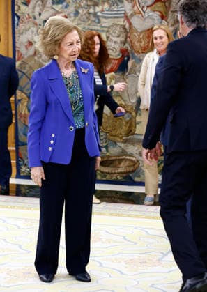 Queen Sofia receives in audience a representation of the Asociación Visión y Vida Queen Sofia during the audience with a representation of the Asociación Visión y Vida on the occasion of its 70th anniversary, at the Zarzuela Palace, on April 20, 2026, in Madrid Spain Visión y Vida was created in 1955 with the objective of procuring the best for the vision of the citizens in an altruistic way by informing, educating, advising and recommending with the doctors within their reach and in all social and professional sectors FAMOUS AUDIENCE ASSOCIATION ANNIVERSARY Antonio Gutié Madrid Madrid Spain  Copyright: xAntonioxGutiÃ rrezx 7454376