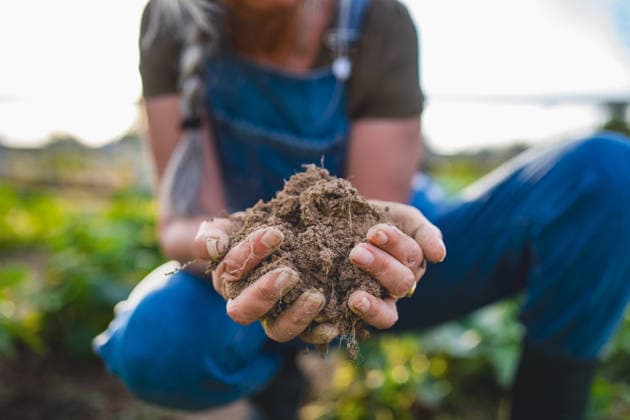 Close up of female famer hands holding soil outdoors at community farm. A close up of female famer hands holding soil outdoors at community farm. model released