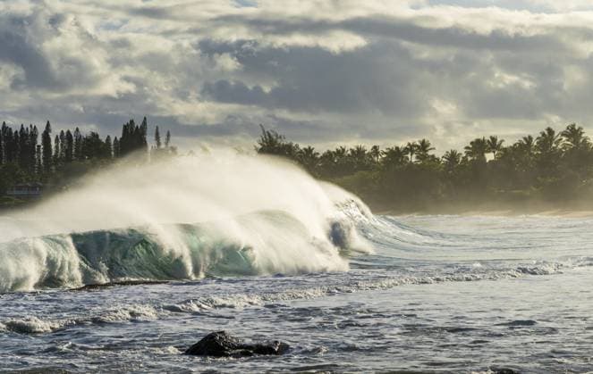 Creative Highlights World Windgepeitschte, krachende Wellen treffen am Haena Beach an der Nordküste von Kauai auf den Sand Windswept crashing waves meet the sand at Haena beach on north coast of Kauai Copyright: imageBROKER StevenxHeap ibxiqx17271430.jpg