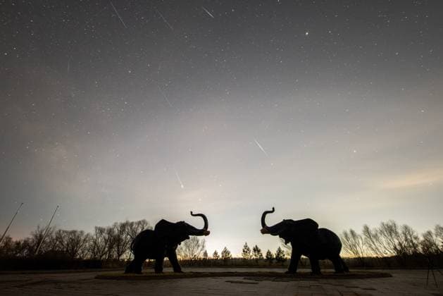 (260423) -- HARBIN, April 23, 2026 -- A stacked composite photo taken on April 23, 2026 shows the Lyrid meteor shower seen in Daqing, northeast China s Heilongjiang Province. This year s Lyrid meteor shower reached its peak on the early morning of Thursday. Featuring bright meteors and fireballs observed near the border between Lyra and Hercules, the Lyrid meteor shower is in its annual active period during mid-to-late April. (Photo by Xinhua) CHINA-HEILONGJIANG-LYRID METEOR SHOWER (CN)? LiuxWei 