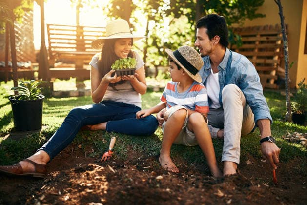 If we plant these with love, they will grow beautifully. a family gardening together in their backyard (License=RF) ,model released, Symbolfoto  Copyright: xZoonar.com YurixArcursxpeopleimages.comx 18982262 ,model released, Symbolfoto ,property released