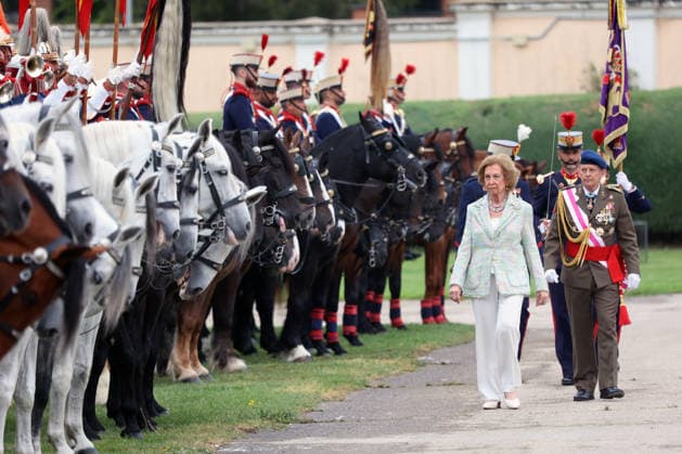 Queen Sofia presides over the ceremony of the solemn Swearing in of civilian personnel Queen Sofia during the ceremony of the solemn Swearing in of civilian personnel at the El Rey de la Guardia Real Barracks, on April 24, 2026, in Madrid Spain The oath or promise before the Flag of Spain is legally established in our legal system, It allows Spaniards who, without wishing to join the Armed Forces on a professional basis, may express their commitment to the defense of Spain, by taking the oath or pledge before the Spanish Flag, as a prerequisite for the acquisition of the status of professional military personnel.  Copyright: xÃngelxDiazxBrinasx 7467763