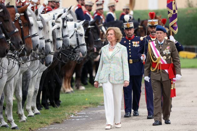 Queen Sofia presides over the ceremony of the solemn Swearing in of civilian personnel Queen Sofia during the ceremony of the solemn Swearing in of civilian personnel at the El Rey de la Guardia Real Barracks, on April 24, 2026, in Madrid Spain The oath or promise before the Flag of Spain is legally established in our legal system, It allows Spaniards who, without wishing to join the Armed Forces on a professional basis, may express their commitment to the defense of Spain, by taking the oath or pledge before the Spanish Flag, as a prerequisite for the acquisition of the status of professional military personnel.  Copyright: xÃngelxDiazxBrinasx 7467764