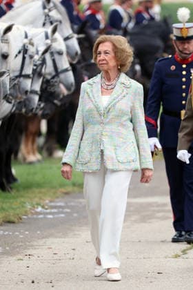 Queen Sofia presides over the ceremony of the solemn Swearing in of civilian personnel Queen Sofia during the ceremony of the solemn Swearing in of civilian personnel at the El Rey de la Guardia Real Barracks, on April 24, 2026, in Madrid Spain The oath or promise before the Flag of Spain is legally established in our legal system, It allows Spaniards who, without wishing to join the Armed Forces on a professional basis, may express their commitment to the defense of Spain, by taking the oath or pledge before the Spanish Flag, as a prerequisite for the acquisition of the status of professional military personnel.  Copyright: xÃngelxDiazxBrinasx 7467766