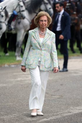Queen Sofia presides over the ceremony of the solemn Swearing in of civilian personnel Queen Sofia during the ceremony of the solemn Swearing in of civilian personnel at the El Rey de la Guardia Real Barracks, on April 24, 2026, in Madrid Spain The oath or promise before the Flag of Spain is legally established in our legal system, It allows Spaniards who, without wishing to join the Armed Forces on a professional basis, may express their commitment to the defense of Spain, by taking the oath or pledge before the Spanish Flag, as a prerequisite for the acquisition of the status of professional military personnel.  Copyright: xÃngelxDiazxBrinasx 7467769