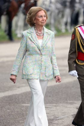 Queen Sofia presides over the ceremony of the solemn Swearing in of civilian personnel Queen Sofia during the ceremony of the solemn Swearing in of civilian personnel at the El Rey de la Guardia Real Barracks, on April 24, 2026, in Madrid Spain The oath or promise before the Flag of Spain is legally established in our legal system, It allows Spaniards who, without wishing to join the Armed Forces on a professional basis, may express their commitment to the defense of Spain, by taking the oath or pledge before the Spanish Flag, as a prerequisite for the acquisition of the status of professional military personnel.  Copyright: xÃngelxDiazxBrinasx 7467770
