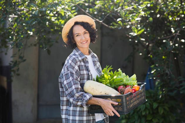Eine fröhliche Frau mittleren Alters mit einem Strohhut hält eine Schale mit Gemüse in der Hand, das sie in ihrem Garten geerntet hat. Happy middle aged woman wearing a straw hat holds a box of vegetables picked in her garden.. (License=RF) ,model released, Symbolfoto Copyright: xZoonar.com UliaxZotaninax 24923523 ,model released, Symbolfoto ,property released