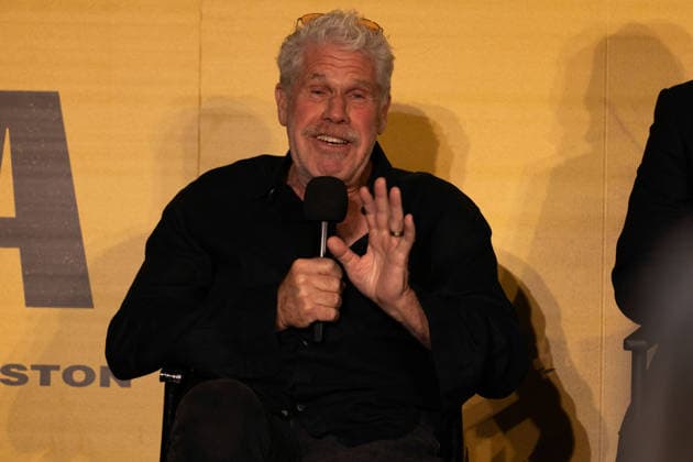 April 28, 2026, Mexico City, Mexico: Actor RON PERLMAN attended the international premiere of Day of the Fight at the National Film Archive in Mexico City. Mexico City Mexico  - ZUMAl178 20260428_znp_l178_004 Copyright: xCristianxLeyvax