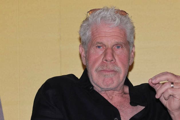 April 28, 2026, Mexico City, Ciudad de Mexico, Mexico: Ron Perlman attends the Day of the Fight press conference at Cineteca Nacional. on April 28, 2026 in Mexico City, Mexico. Mexico City Mexico - ZUMAe321 20260428_zea_e321_007 Copyright: xYamakxPereax