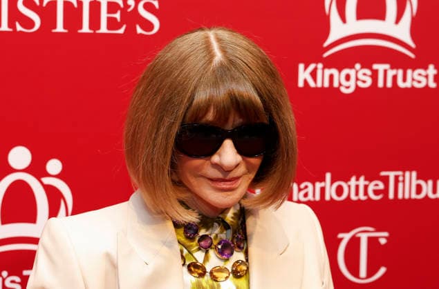 Anna Wintour arrives on the red carpet at The King s Trust 5th Annual Gala at Christie s on Wednesday, April 29, 2026 in New York City. King Charles III and Queen Camilla will visit the nation s capital, New York City, and Virginia during the trip arranged to celebrate the United States of America s 250th anniversary of its independence.  NYP20260429516 JOHNxANGELILLO
