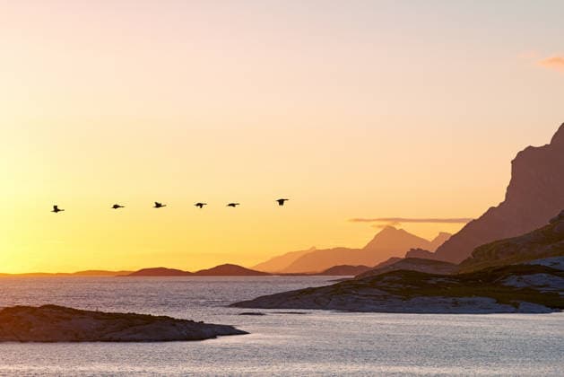 Beautiful landscape of a mountain near the sea during sunset with copy space. Scenic view of the ocean with golden yellow sunlight at sunrise and copyspace. Peaceful coastal bay with birds flying. (License=RF)  Copyright: xZoonar.com KasperxRavlox 18863780