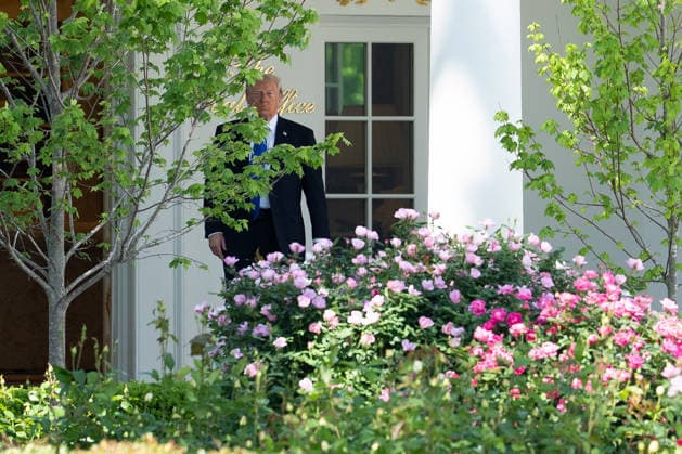 Trumps Bid Farewell to King Charles III and Queen Camilla United States President Donald J Trump looks out at the Rose Garden as he heads into the Oval Office of the White House in Washington, DC, USA, on Thursday, April 30, 2026. Credit: Aaron Schwartz Pool via CNP Washington District of Columbia United States  Copyright: xPool ABACAx