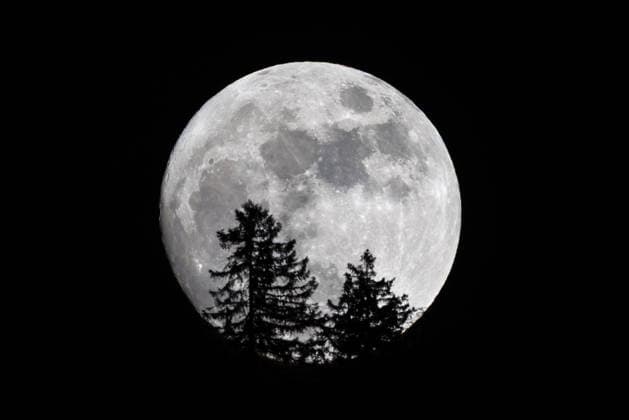 Mondaufgang Der Mond ist hinter Bäumen am Schattenberg zu sehen., Oberstdorf Bayern Deutschland *** Moonrise The moon can be seen behind trees on the Schattenberg , Oberstdorf Bavaria Germany