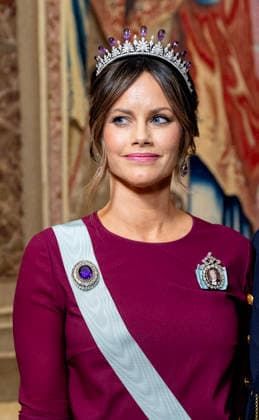 30-04-2026 Gala Princess Sofia arriving for the galadinner at the Royal palace to mark the celebrations of King Carl Gustafs 80th birthday in Stockholm, Sweden. Â  Copyright: xPPEx