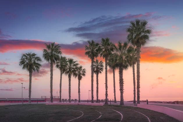 Sonnenuntergang über Palmen in Santo Stefano al Mare, Ligurien Sunset landscape with palm trees silhouettes on the seafront of Santo Stefano al Mare. Colorful sky over the Riviera dei Fiori, Imperia, Liguria, Italy (License=RF) Copyright: xZoonar.com StefanoxOrazzinix 24987425