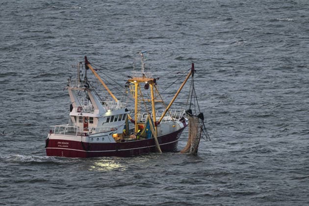Küstenfischerei in der Nordsee Ein Küstenfischereifahrzeug fisch vor der belgischen Küste nach Plattfisch. Zeebruegge Zeebruegge Belgien *** Coastal fishing in the North Sea A coastal fishing vessel fishes for flatfish off the Belgian coast Zeebruegge Zeebruegge Belgium Copyright: xdiebildwerftx