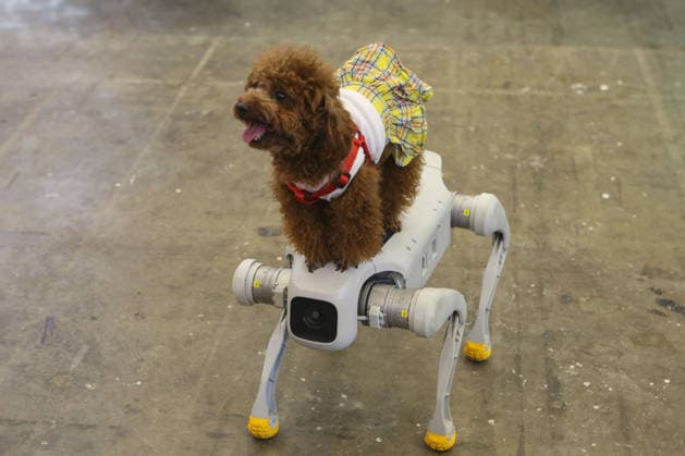 Entertainment Bilder des Tages Pet Fest in Indonesia SOUTH TANGERANG, INDONESIA - MAY 3: A robot dog is seen alongside a real dog at Pet Fest 2026, a festival for animal lover communities in South Tangerang, Banten, Indonesia on May 3, 2026. The annual event, aimed at animal lover communities, features a range of activities including pet costume contests, free vaccination clinics, and educational talks on adoption and responsible pet care. Agoes Rudianto Anadolu South Tangerang Indonesia. Editorial use only. Please get in touch for any other usage.  Copyright: x2026xAnadoluxAgoesxRudiantox