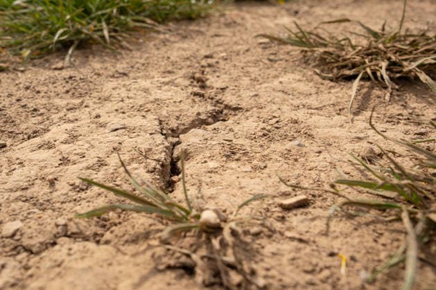Trockenheit im Frühjahr: Rissiger Boden auf landwirtschaftlicher Fläche 03.05.2026, Selters: Symbolfoto, Illustrationsbild, Symbolbild, Illustrationsfoto, Alltagsszene Rissiger, ausgetrockneter Boden auf einer landwirtschaftlichen Fläche im Frühjahr. Die Aufnahme zeigt erste Anzeichen von Trockenheit und Wassermangel bereits zu Beginn der Vegetationsperiode und steht im Zusammenhang mit Klimawandel und zunehmenden Dürreperioden. Selters Hessen Deutschland *** Drought in spring Cracked soil on agricultural land 03 05 2026, Selters Symbol photo, illustration image, symbol image, illustration photo, everyday scene Cracked, dried-out soil on agricultural land in spring The image shows the first signs of drought and water shortage at the Copyright: xAlexandraxWagnerx