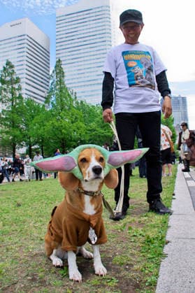 Cosplayer beim Star Wars Day-Event May the 4th Be With You . Yokohama, 04.05.2026 *** Cosplayers at the Star Wars Day Event May the 4th Be With You Yokohama, 04 05 2026 Foto:xK.xNarax xFuturexImagex star_wars_6507