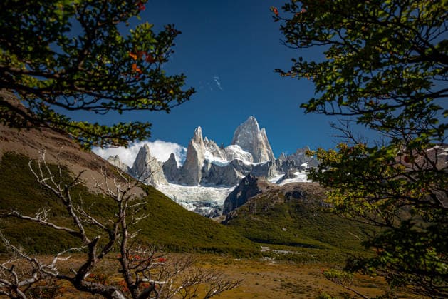 Creative Highlights World Fitz Roy peak framed by forest trees, Patagonia Argentina Fitz Roy, Santa Cruz Province, Argentina CR_EVVA260505-2010934-01