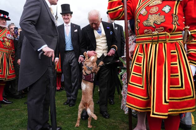 . 06 05 2026. London, United Kingdom. King Charles III and Queen Camilla at a Buckingham Palace Garden Party in London.  xPoolx xi-Imagesx IIM-26751-0028