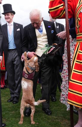 . 06 05 2026. London, United Kingdom. King Charles III and Queen Camilla at a Buckingham Palace Garden Party in London.  xPoolx xi-Imagesx IIM-26751-0029