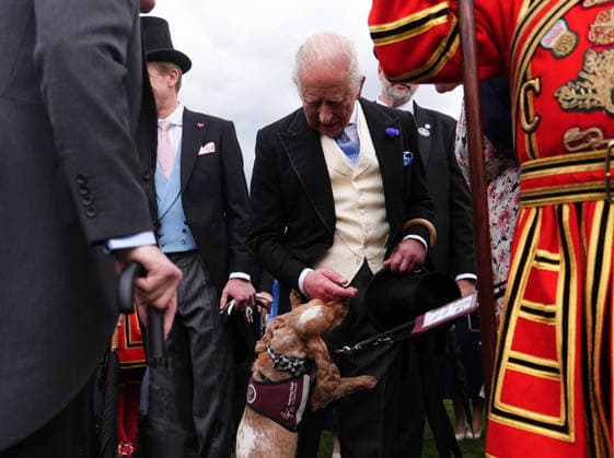 . 06 05 2026. London, United Kingdom. King Charles III and Queen Camilla at a Buckingham Palace Garden Party in London.  xPoolx xi-Imagesx IIM-26751-0030