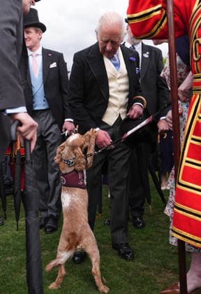 . 06 05 2026. London, United Kingdom. King Charles III and Queen Camilla at a Buckingham Palace Garden Party in London.  xPoolx xi-Imagesx IIM-26751-0032