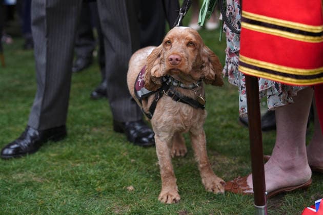 The Royal Family attend a Garden Party Members of the Royal Family attend a Garden Party at Buckingham Palace, London, UK, on the 6th May 2026. Picture by Aaron Chown WPA-Pool London Buckingham Palace London United Kingdom  WHA-0817