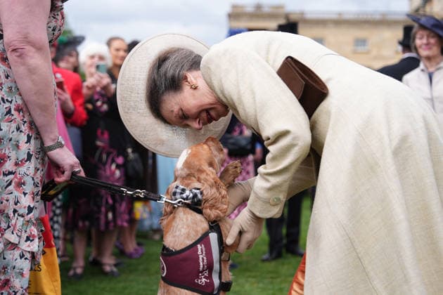 The Royal Family attend a Garden Party Members of the Royal Family attend a Garden Party at Buckingham Palace, London, UK, on the 6th May 2026. Picture by Aaron Chown WPA-Pool London Buckingham Palace London United Kingdom  WHA-0817