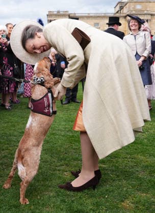 The Royal Family attend a Garden Party Members of the Royal Family attend a Garden Party at Buckingham Palace, London, UK, on the 6th May 2026. Picture by Aaron Chown WPA-Pool London Buckingham Palace London United Kingdom  WHA-0817