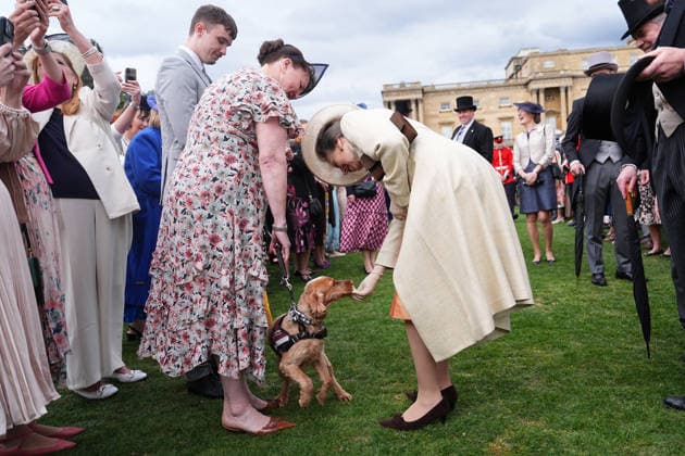 The Royal Family attend a Garden Party Members of the Royal Family attend a Garden Party at Buckingham Palace, London, UK, on the 6th May 2026. Picture by Aaron Chown WPA-Pool London Buckingham Palace London United Kingdom  WHA-0817